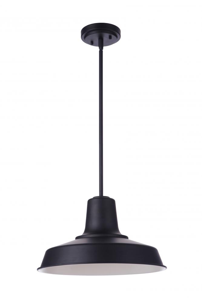 1 Light Pendant
